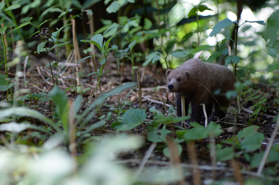 カリフォルニアグリズリー