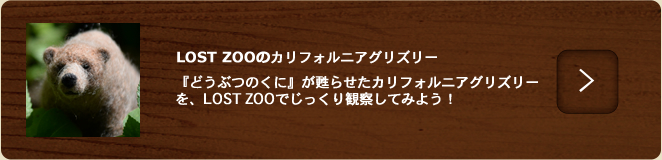 カリフォルニアグリズリー