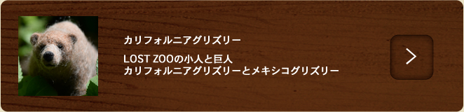 カリフォルニアグリズリー