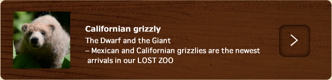 Californian grizzlies