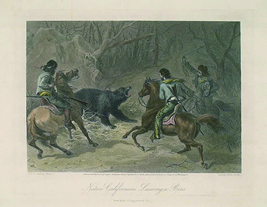 博物画に描かれた熊狩りの様子