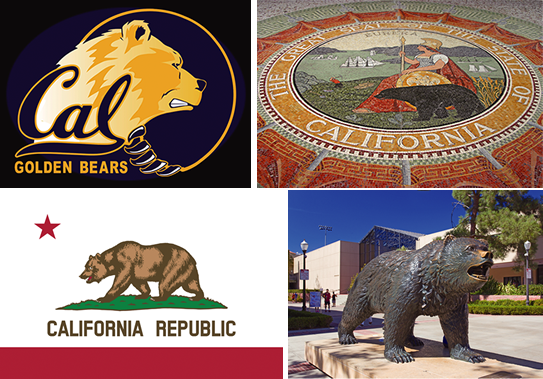 ジャマイカの熱帯雨林