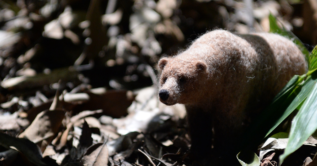 カリフォルニアグリズリー