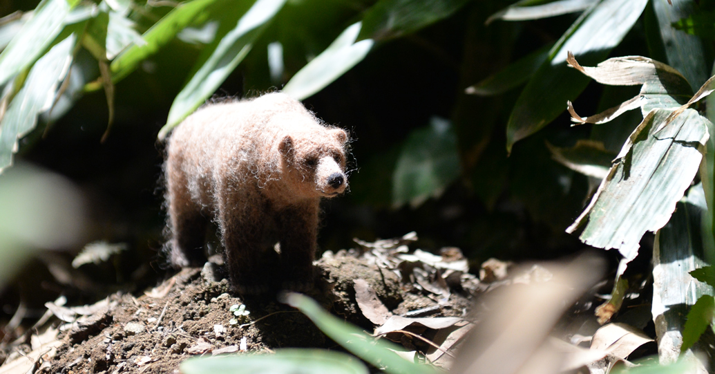 カリフォルニアグリズリー