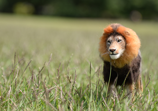 ケープライオン