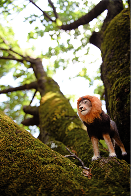 ノヴォシビルスク動物園で飼育されているライオン