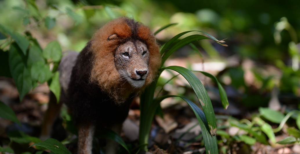 ケープライオン