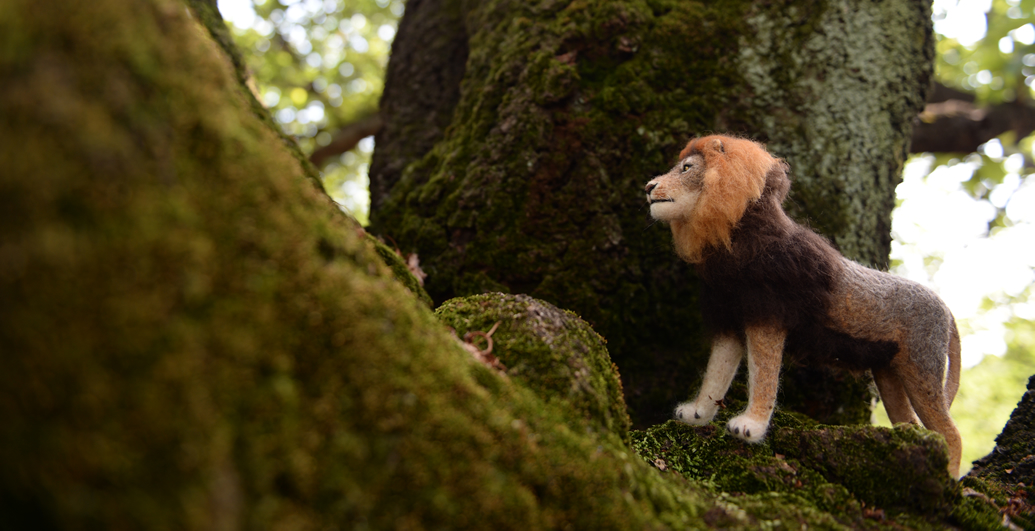 ケープライオン