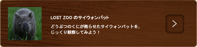 サイウォンバット