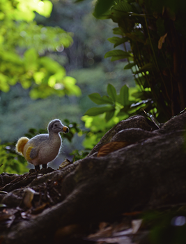 LOST ZOOドードーの放飼場風景
