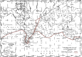 ケープライオンの剥製
