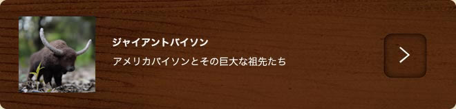 ジャイアントパイソン