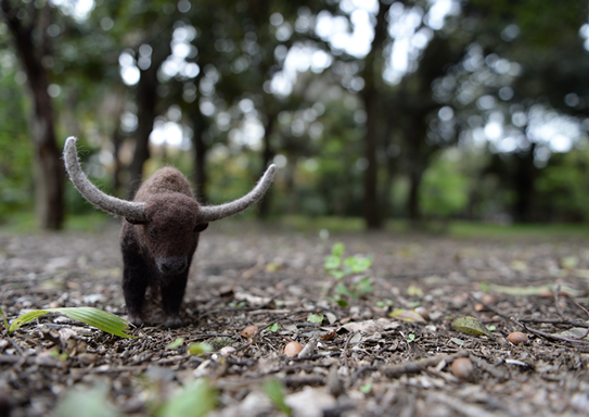クアッガの剥製