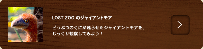 ジャイアントモア