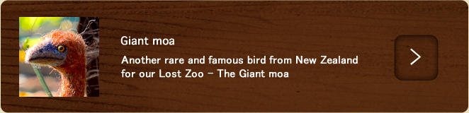 Giant moa