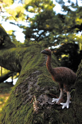 Giant moa enclosure in LOST ZOO