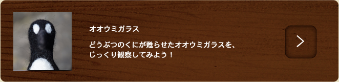 オオウミガラス