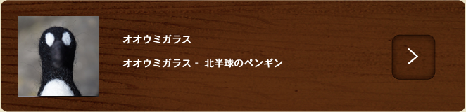 オオウミガラス