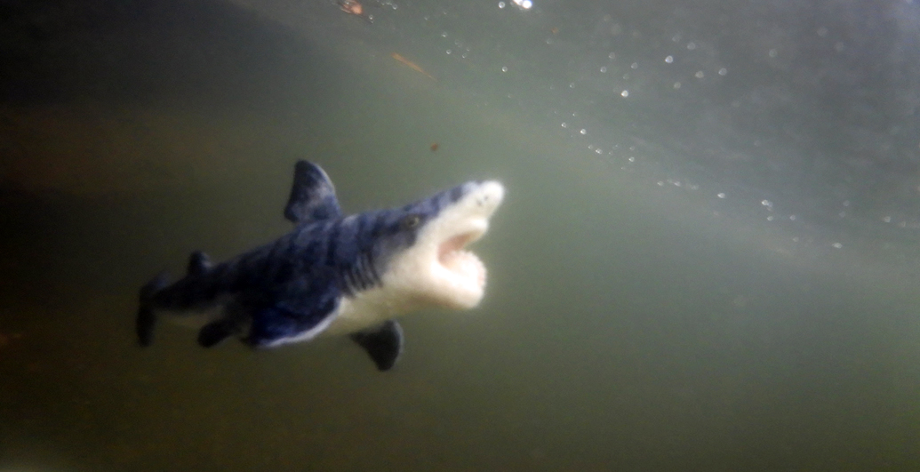 ヘリコプリオン