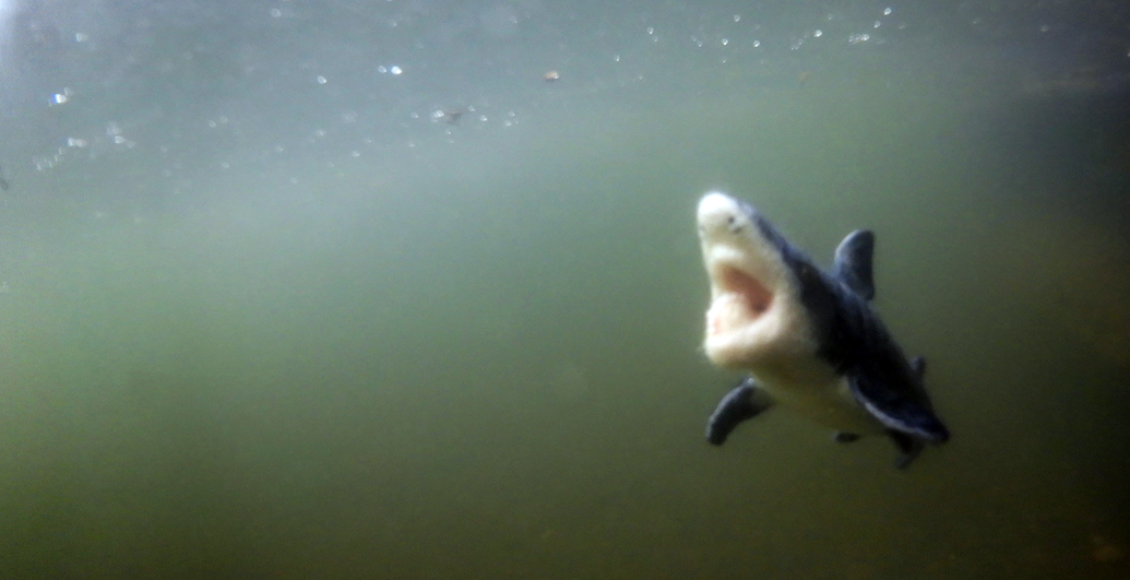 ヘリコプリオン