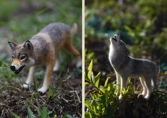 ニホンオオカミ（ホンシュウオオカミ）
