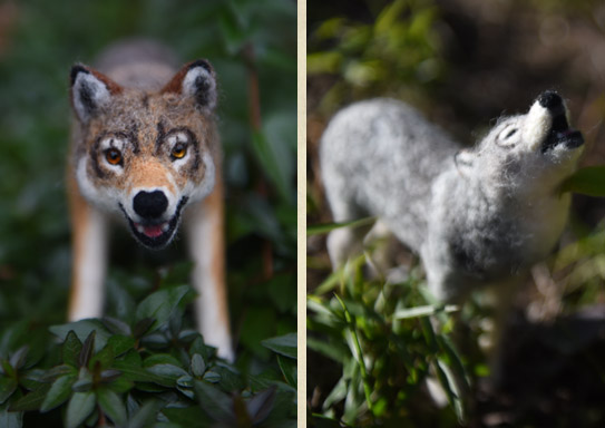 ニホンオオカミ（ホンシュウオオカミ）