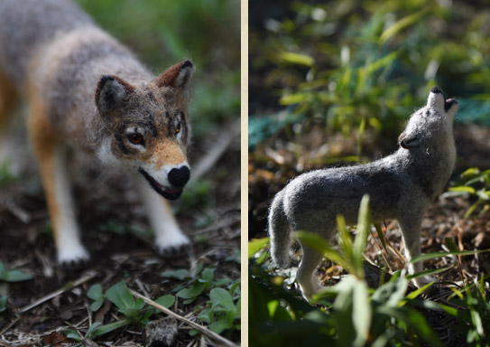 ニホンオオカミ（ホンシュウオオカミ）