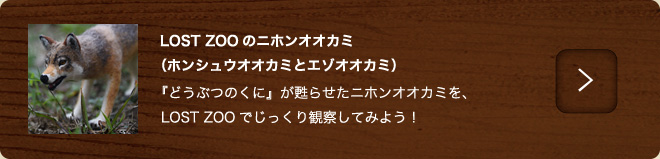 ニホンオオカミ