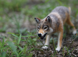 LOST ZOOニホンオオカミの放飼場風景