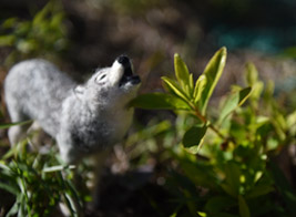 LOST ZOOエゾオオカミの放飼場風景