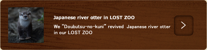 Japanese river otter