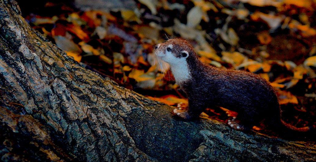 二ホンカワウソ