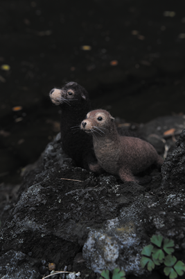 LOST ZOOジャイアントモアの放飼場風景