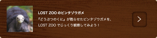 ピンタゾウガメ