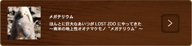 メガテリウム