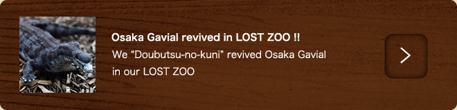 Osaka Gavial