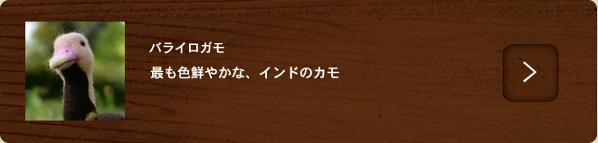タスマニアタイガー