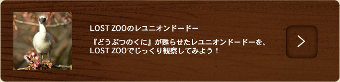 レユニオンドードー