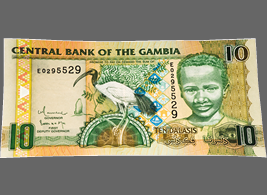 様々なデザインモチーフとなっている古今東西のトキたち①