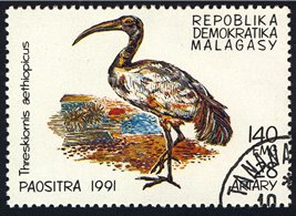 様々なデザインモチーフとなっている古今東西のトキたち②