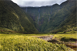 レユニオン島の風景
