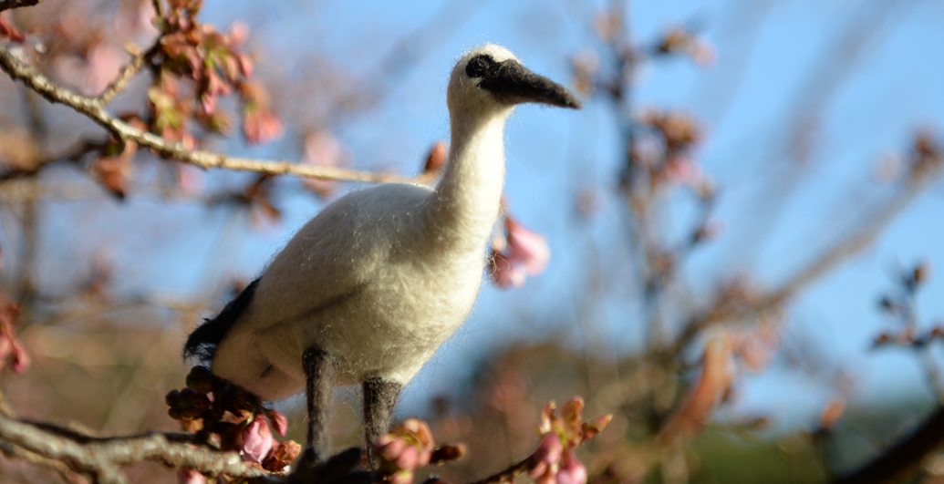 レユニオンドードー