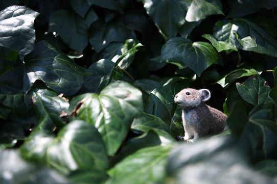 サルディニアナキウサギ