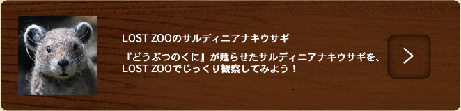 サルディニアナキウサギ