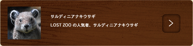 サルディニアナキウサギ