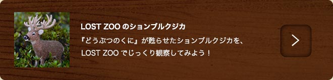 ションブルクジカ