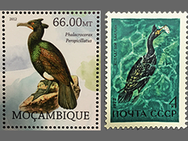 切手にデザインされたメガネウ