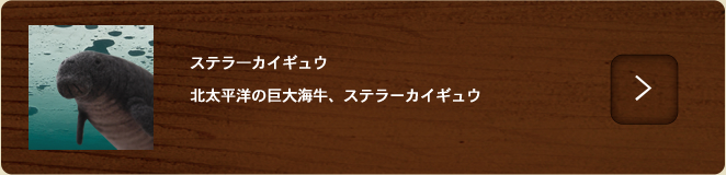 ステラーカイギュウ