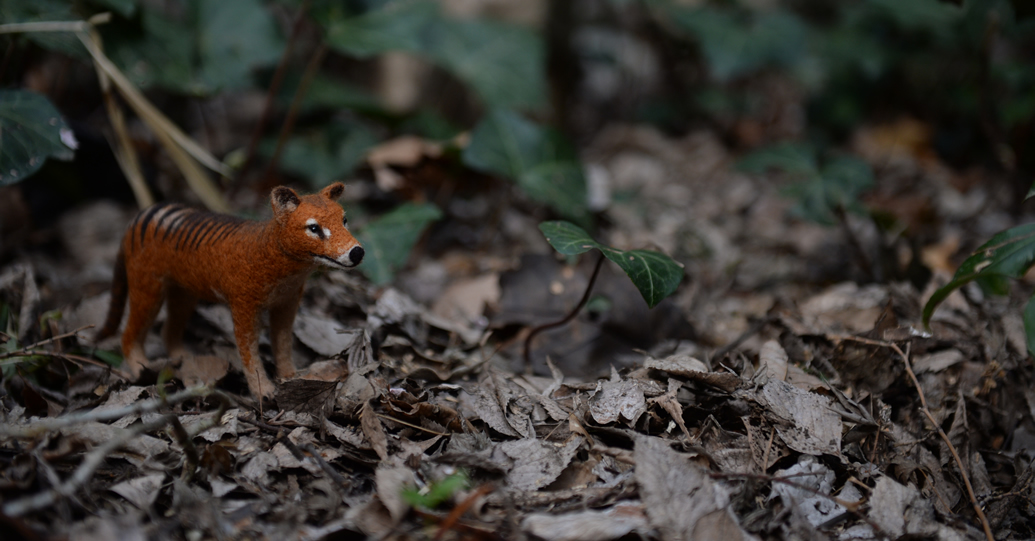 タスマニアタイガー