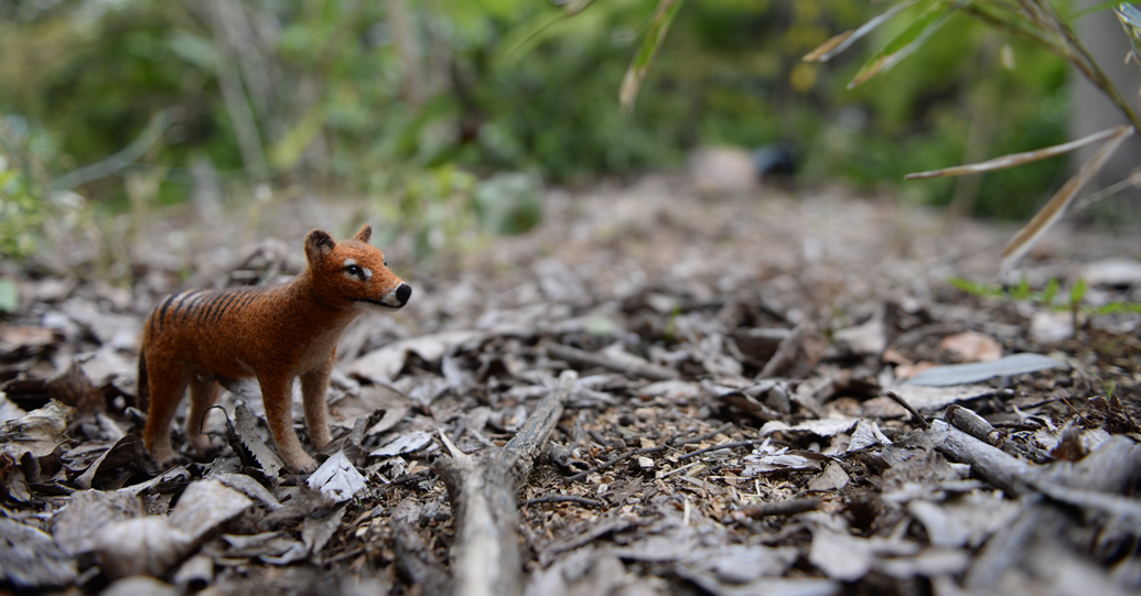 タスマニアタイガー